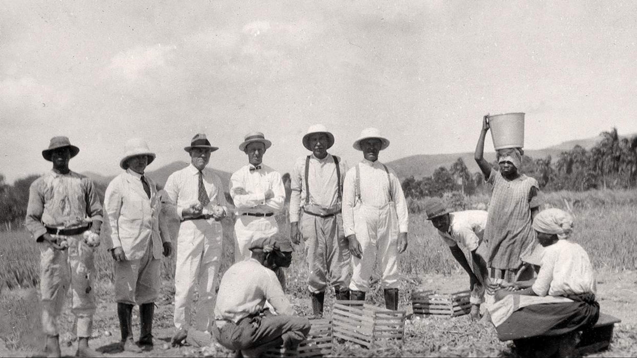 Plantación colonial (1902). Fuente Museo Nacional de Dinamarca Plantación colonial (1902). Fuente Museo Nacional de Dinamarca