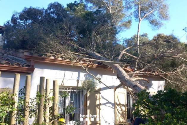 temporal viento árbol caído casa bomberos