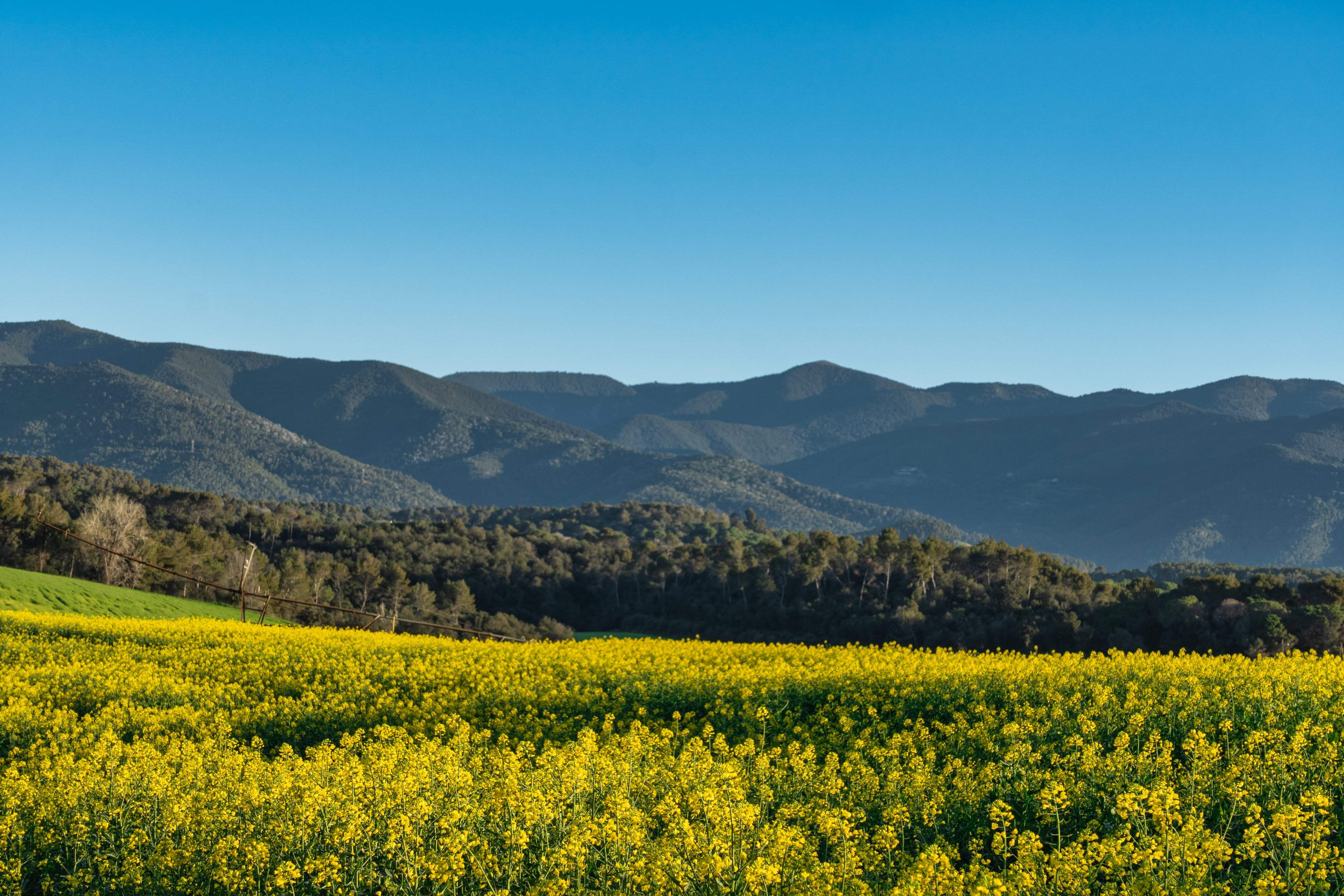 Més calor, puja la temperatura a Catalunya: adeu a un març plujós
