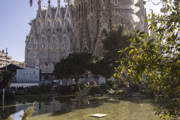 20250331 EXTERIORS SAGRADA FAMILIA MARINA PLAÇA GAUDI / Foto: Montse Giralt 20250331 EXTERIORS SAGRADA FAMILIA MARINA PLAÇA GAUDI / Foto: Montse Giralt