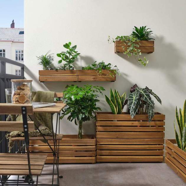 Jardinera STJÄRNANIS