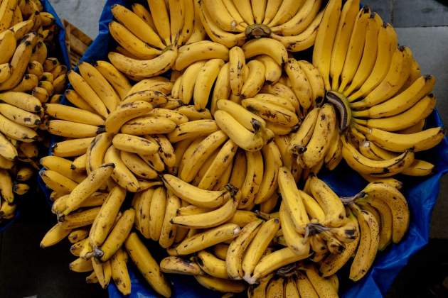 Un alimento popular mundialmente / Foto: Unsplash Un alimento popular mundialmente / Foto: Unsplash