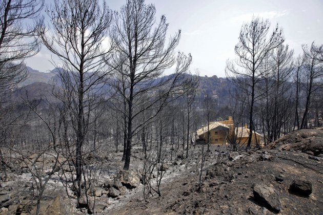 INCENDI GANDIA 2