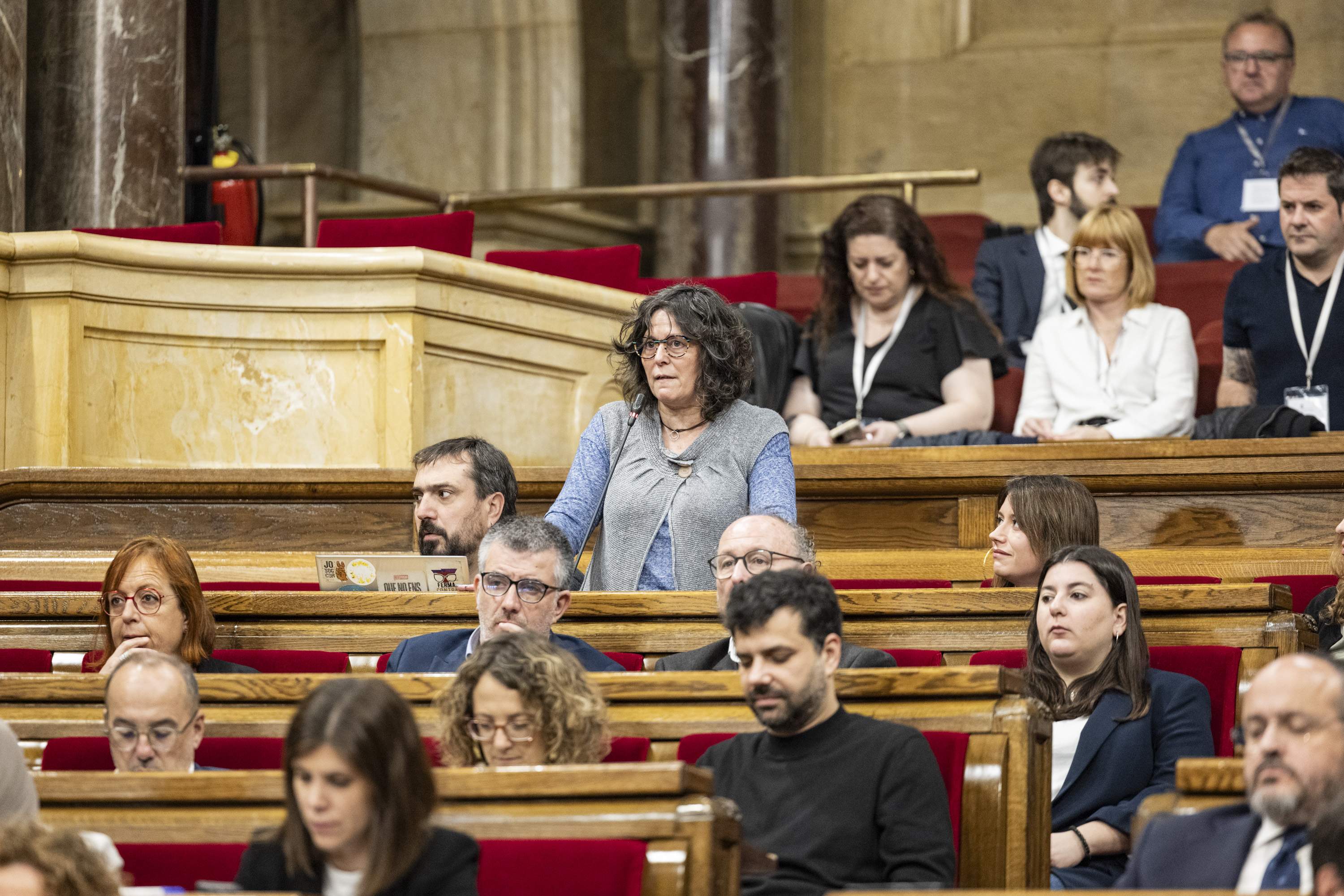 La CUP carrega contra el Govern per la seva "inacció" davant els casos de catalanofòbia