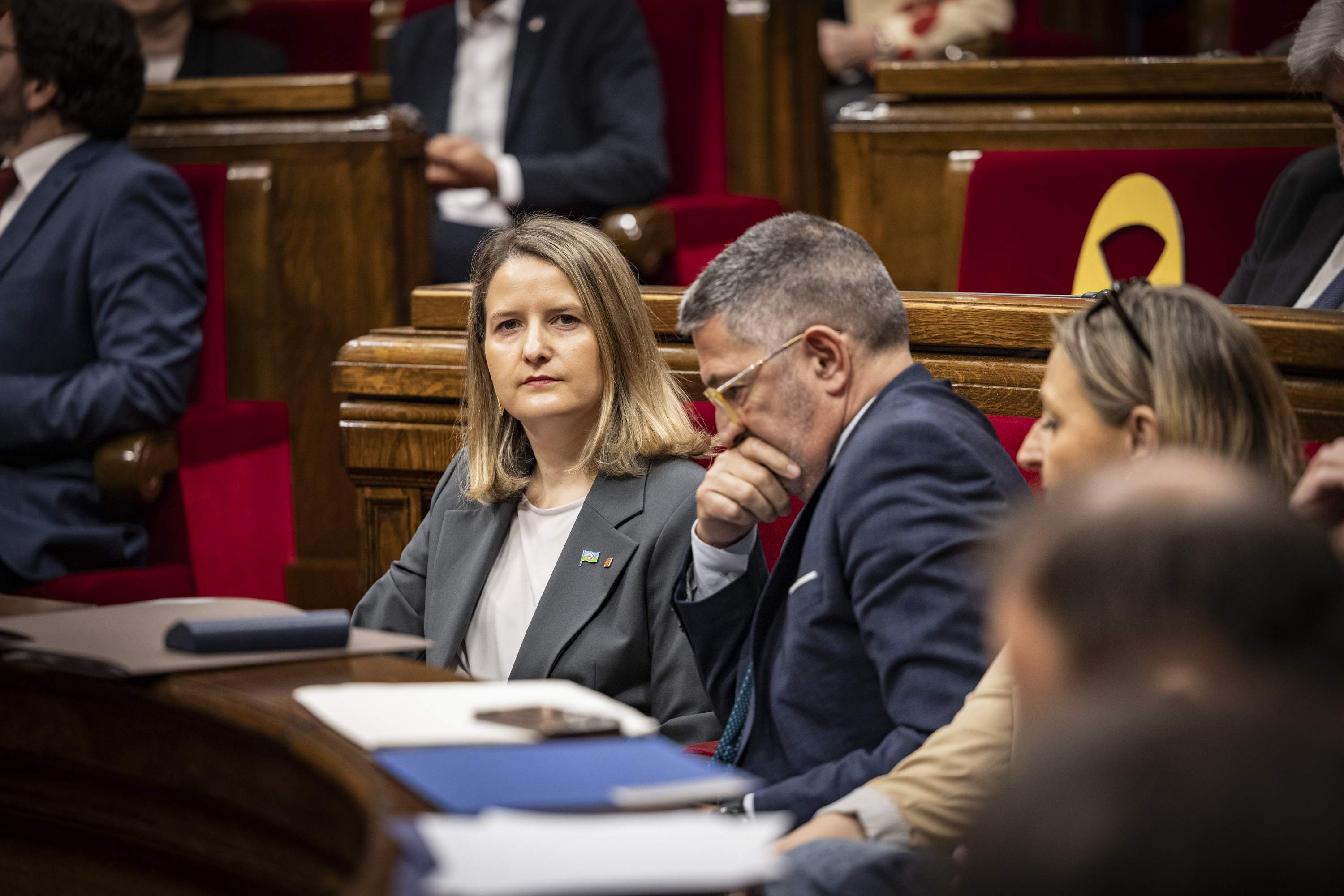 El Govern admite que la DGAIA necesita una "transformación profunda" desde hace años