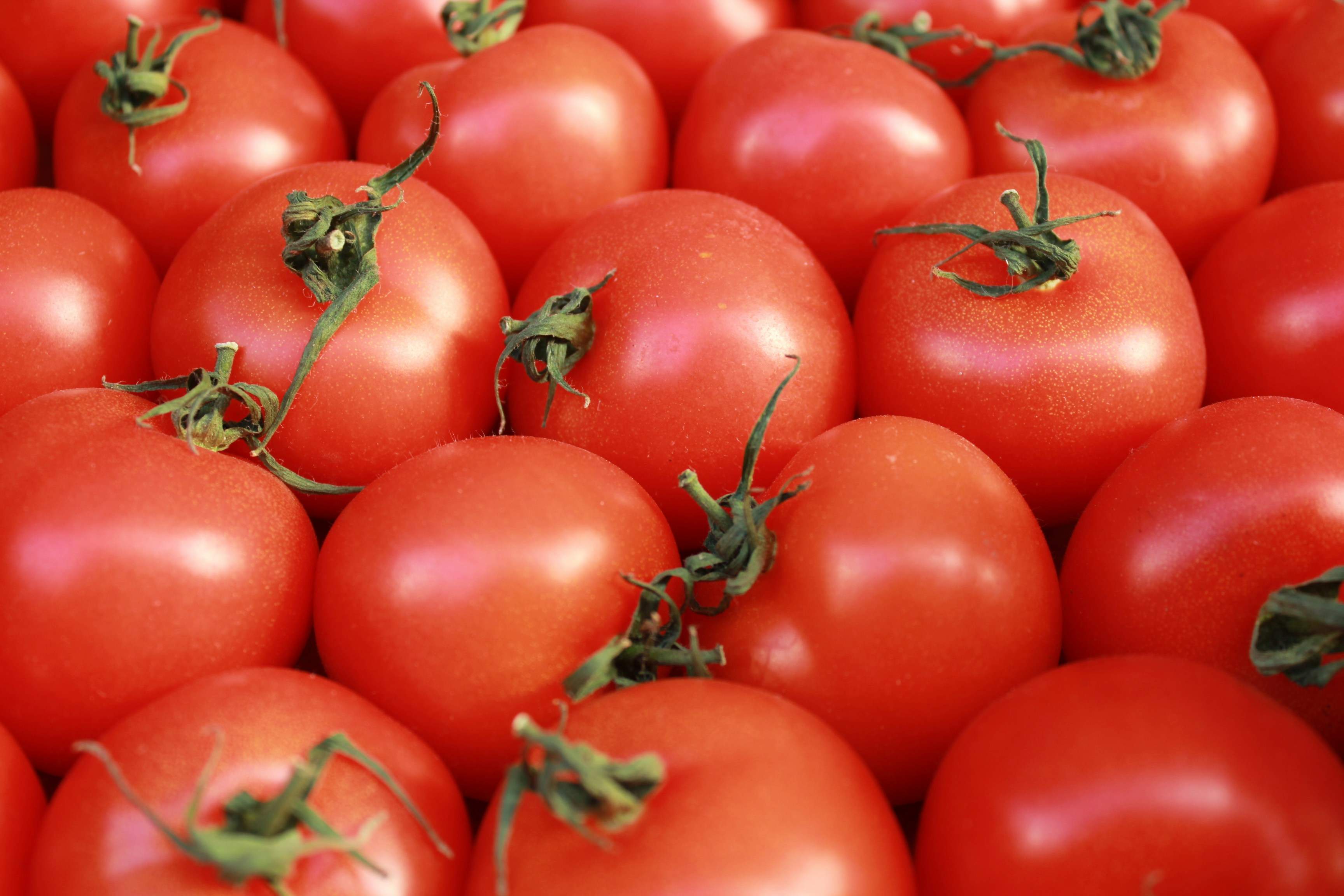 Cómo pelar un tomate en menos de un minuto