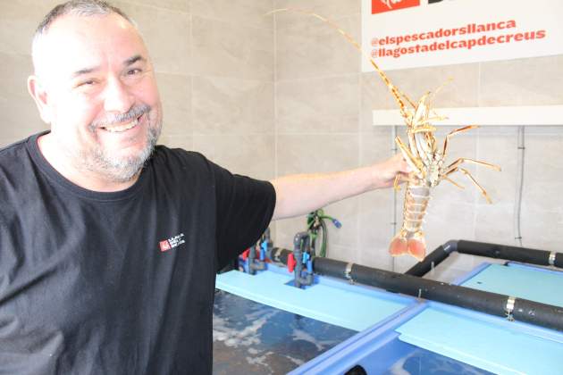 Lluís amb llagosta Lluís amb llagosta