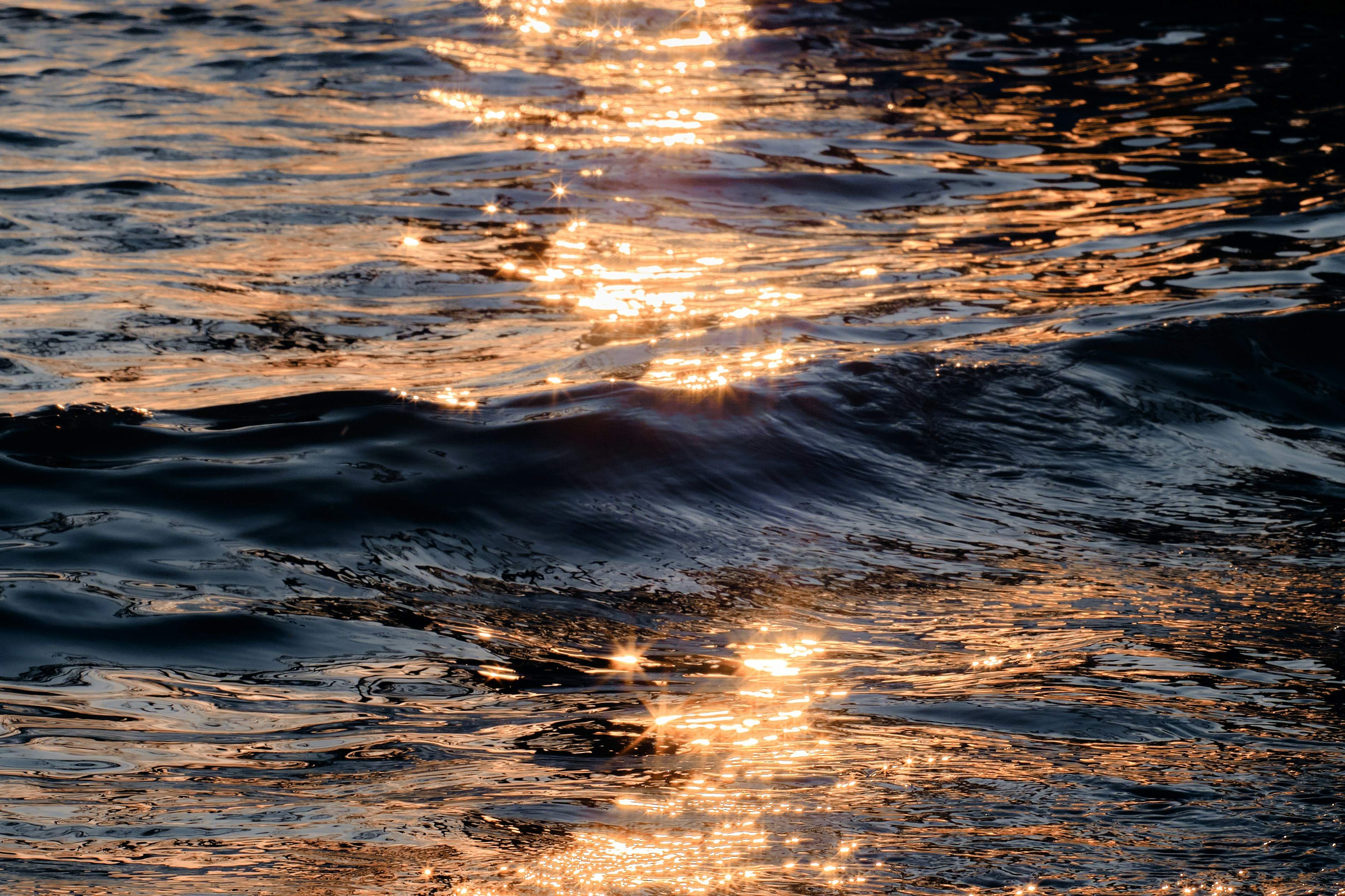 Quan el mar s'il·lumina de nit: els científics desxifren un fenomen que intriga des de fa segles