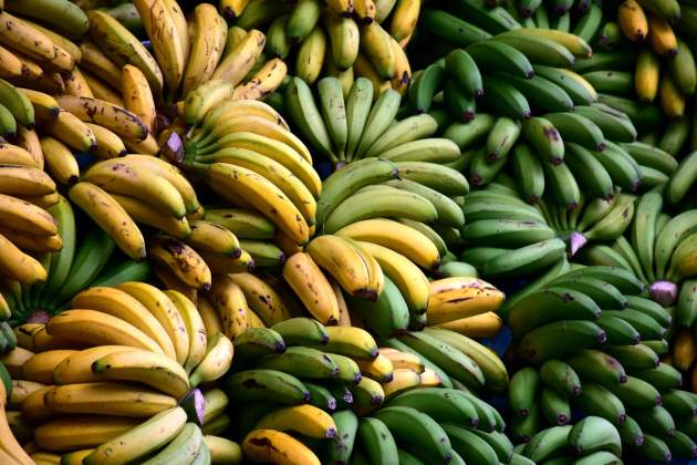És fruit de la selecció artificial / Foto: Unsplash És fruit de la selecció artificial / Foto: Unsplash