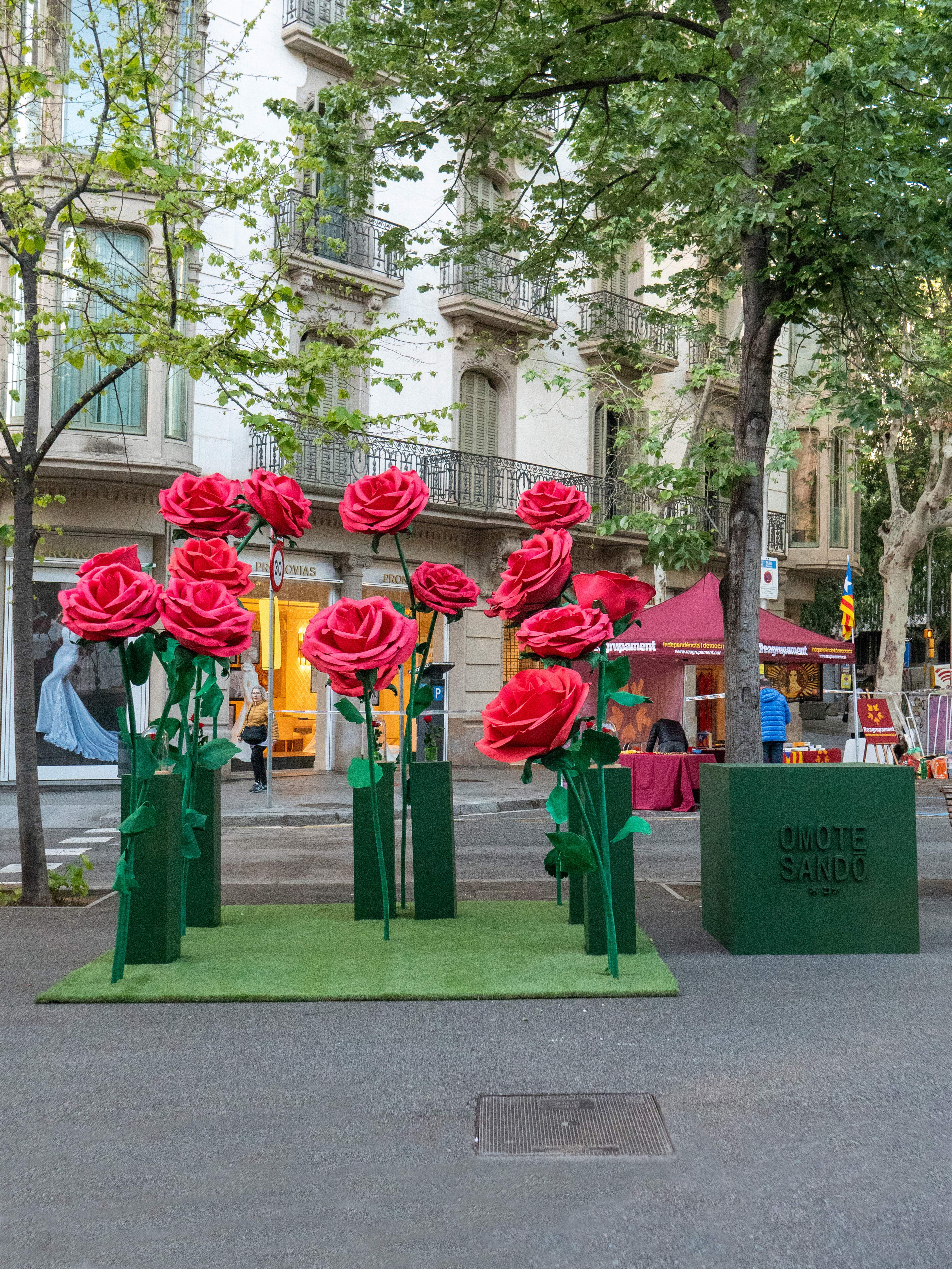 Per Sant Jordi, Omotesandō Plants converteix Rambla Catalunya en un jardí efímer