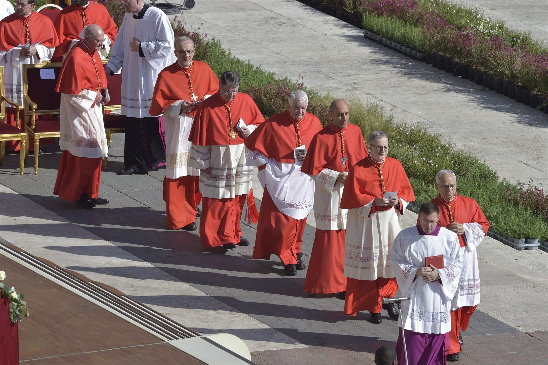 Un conclave dividit i heterogeni decidirà entre mantenir el llegat de Francesc o un gir a l'Església