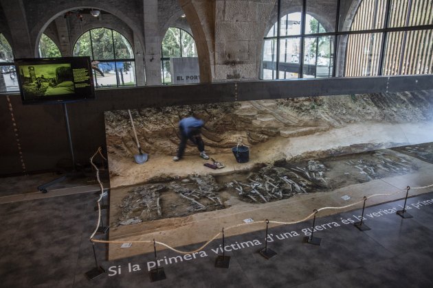 Expo Museu Maritim professor mar fosa franquisme guerra civil - Sergi Alcazar