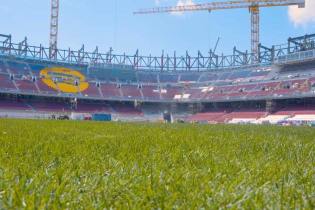 Gespa Spotify Camp Nou / Foto: FC Barcelona Gespa Spotify Camp Nou / Foto: FC Barcelona