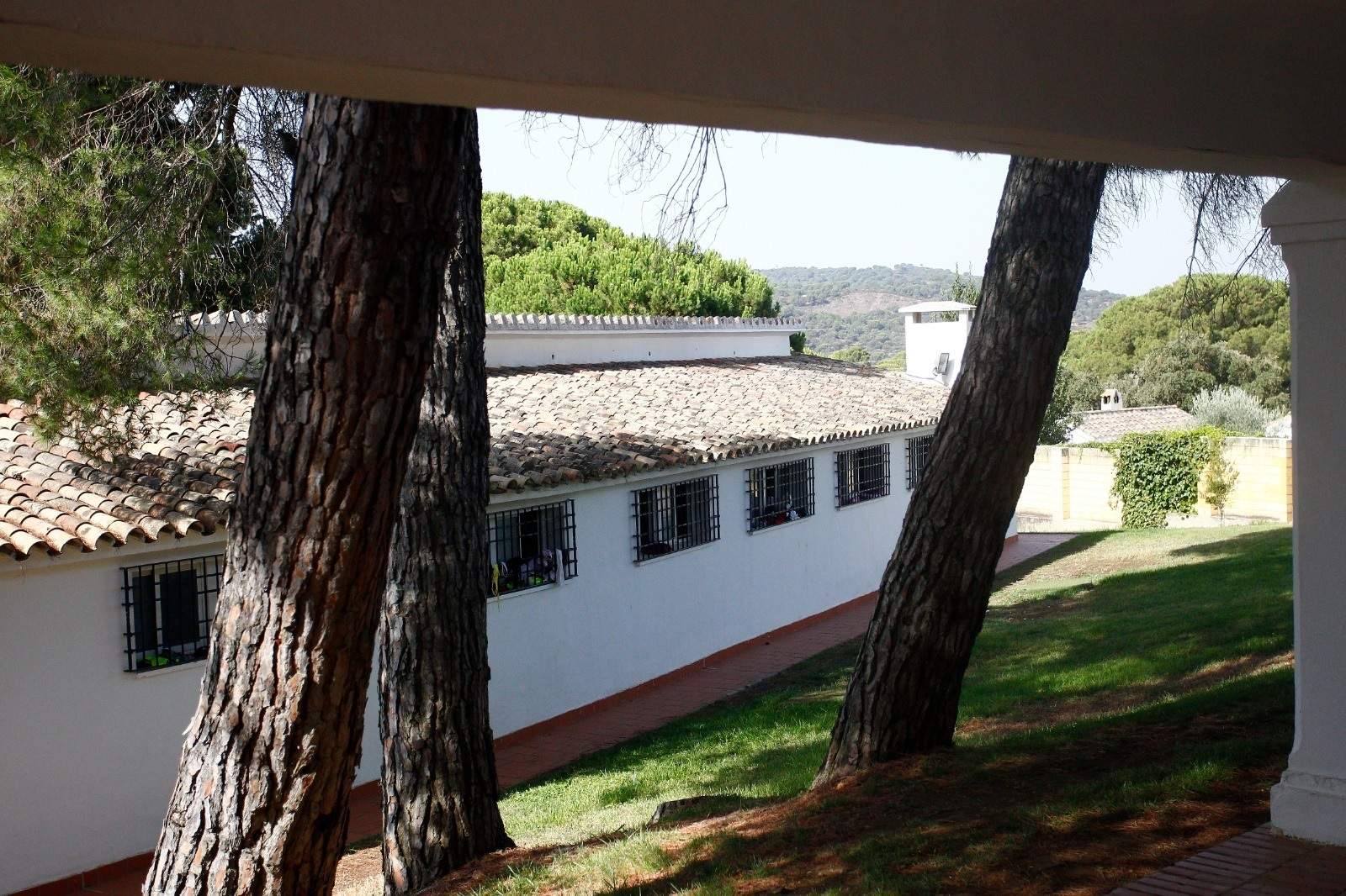 Denuncien crits de “rojo muerto, abono para mi huerto” i càntics del ‘Cara al sol’ de legionaris a comunistes