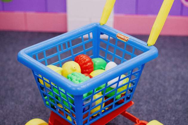 pexels polesietoys 4491733