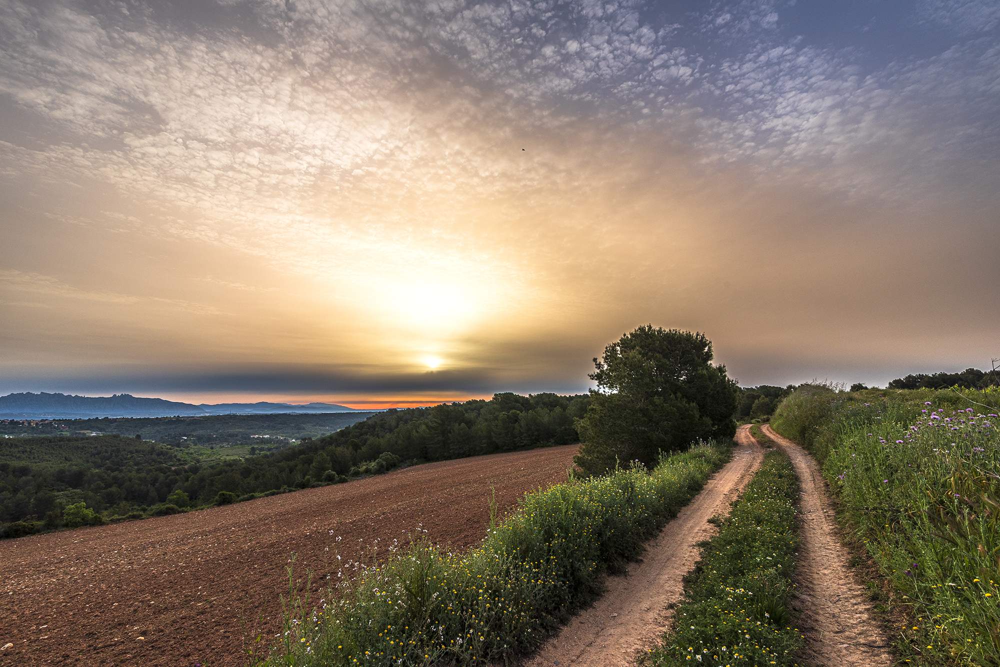 Catalunya sota els efectes d'una massa d'aire sahariana: quin temps farà els pròxims dies?