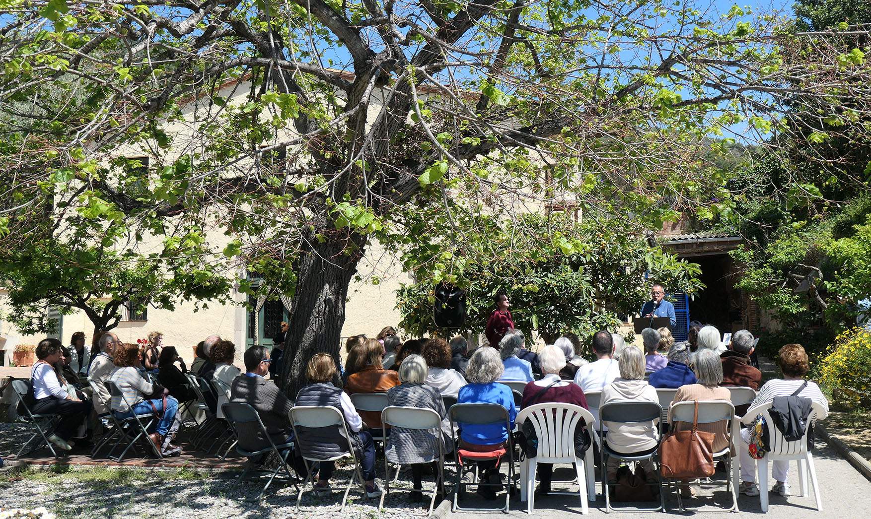Festa del Hanami - Poesia a la primavera