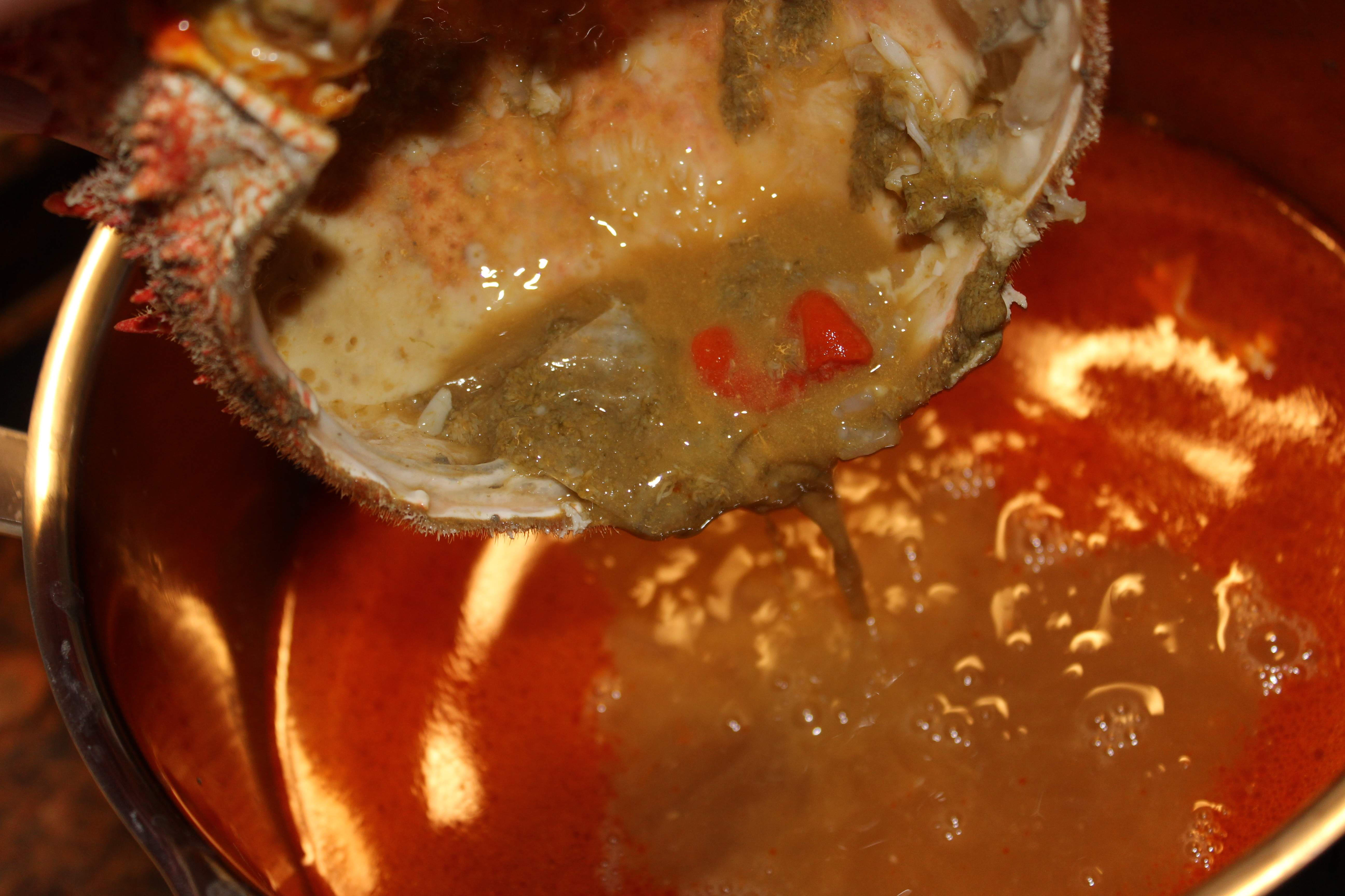 IMG 6467 IMG 6467