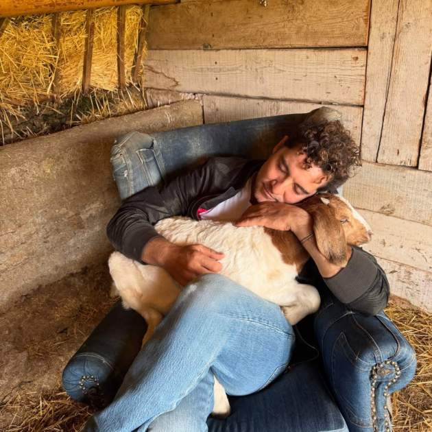 David Bisbal a la granja / Instagram David Bisbal a la granja / Instagram