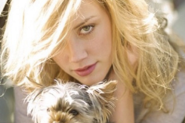 perro depp amber