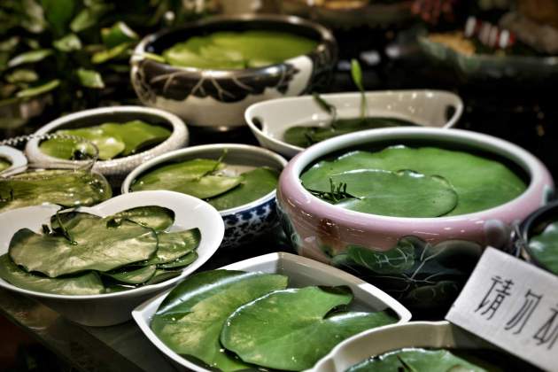 Sopas frías Sopas frías