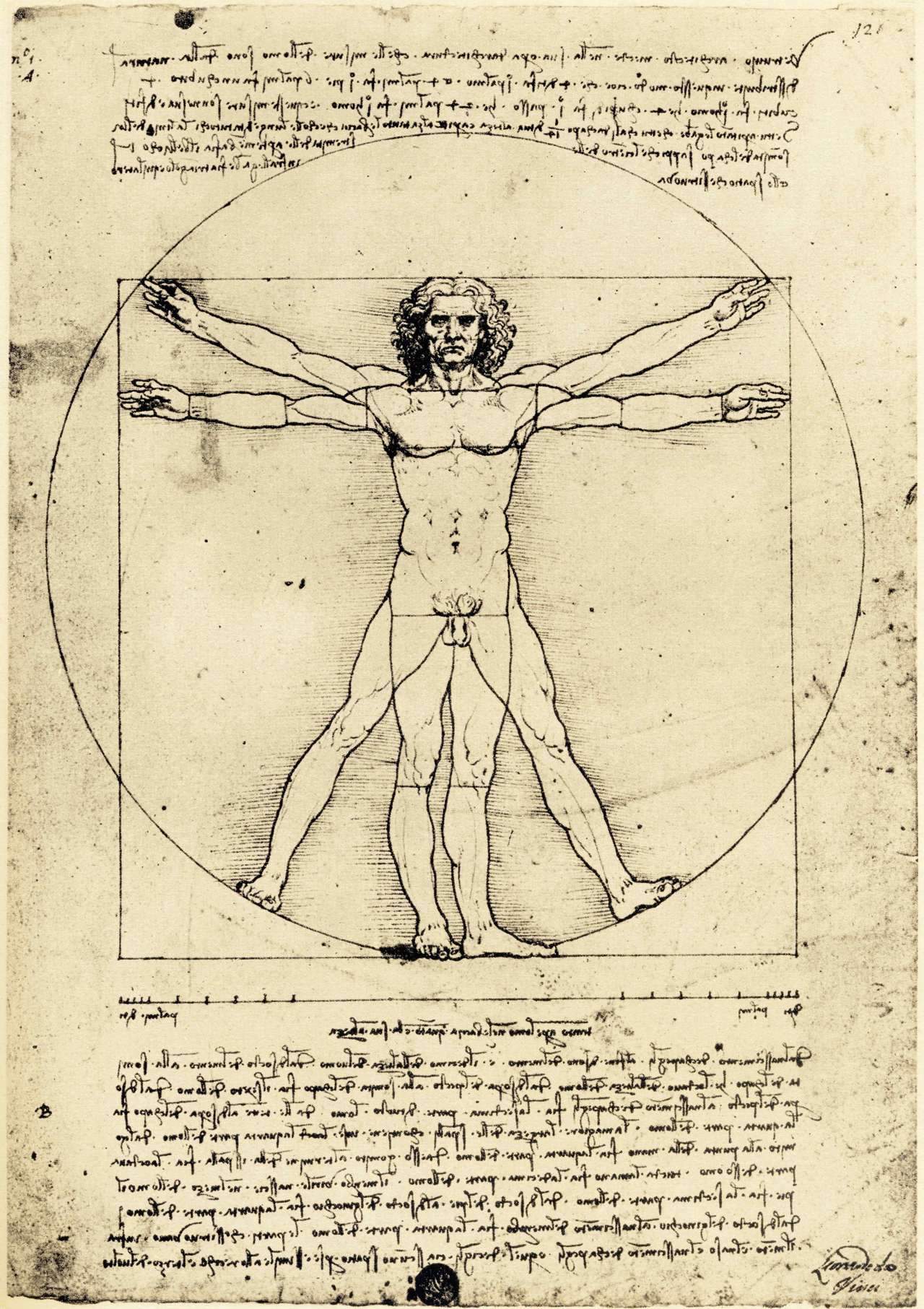 Los nombres de las partes del cuerpo: un campo donde el catalán sorprende (1)