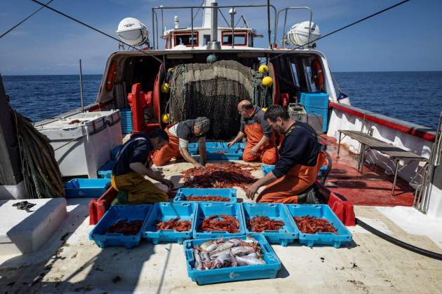 Pescadores clasificando las gambas recién pescadas foto Carlos Baglietto