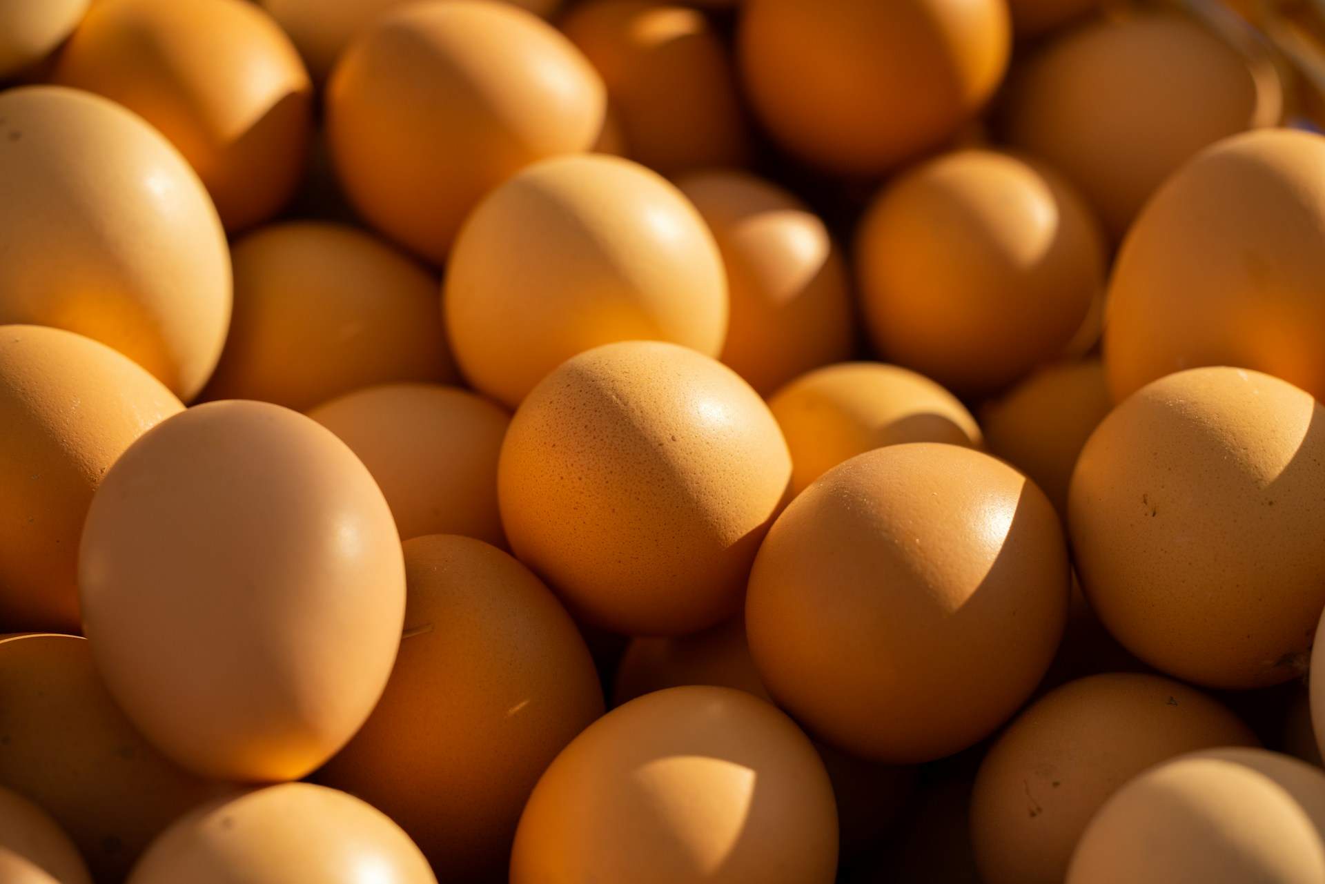 9 aliments que tenen més proteïna que un ou