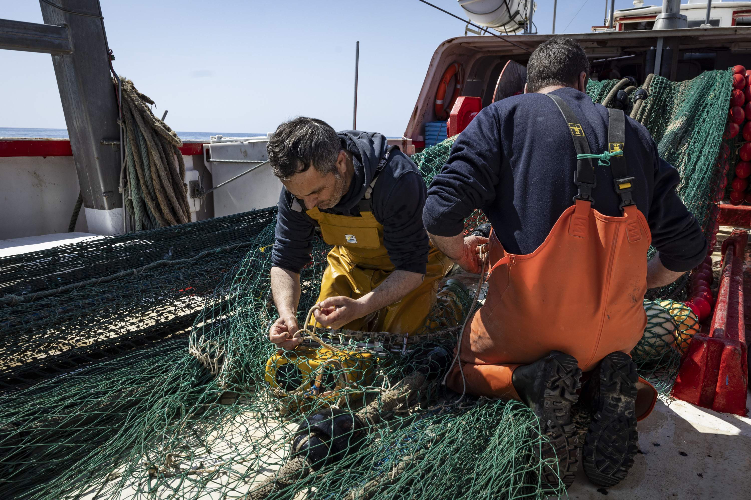 Cómo saber si el pescado que compras es salvaje o de piscifactoría: el consejo de un pescador