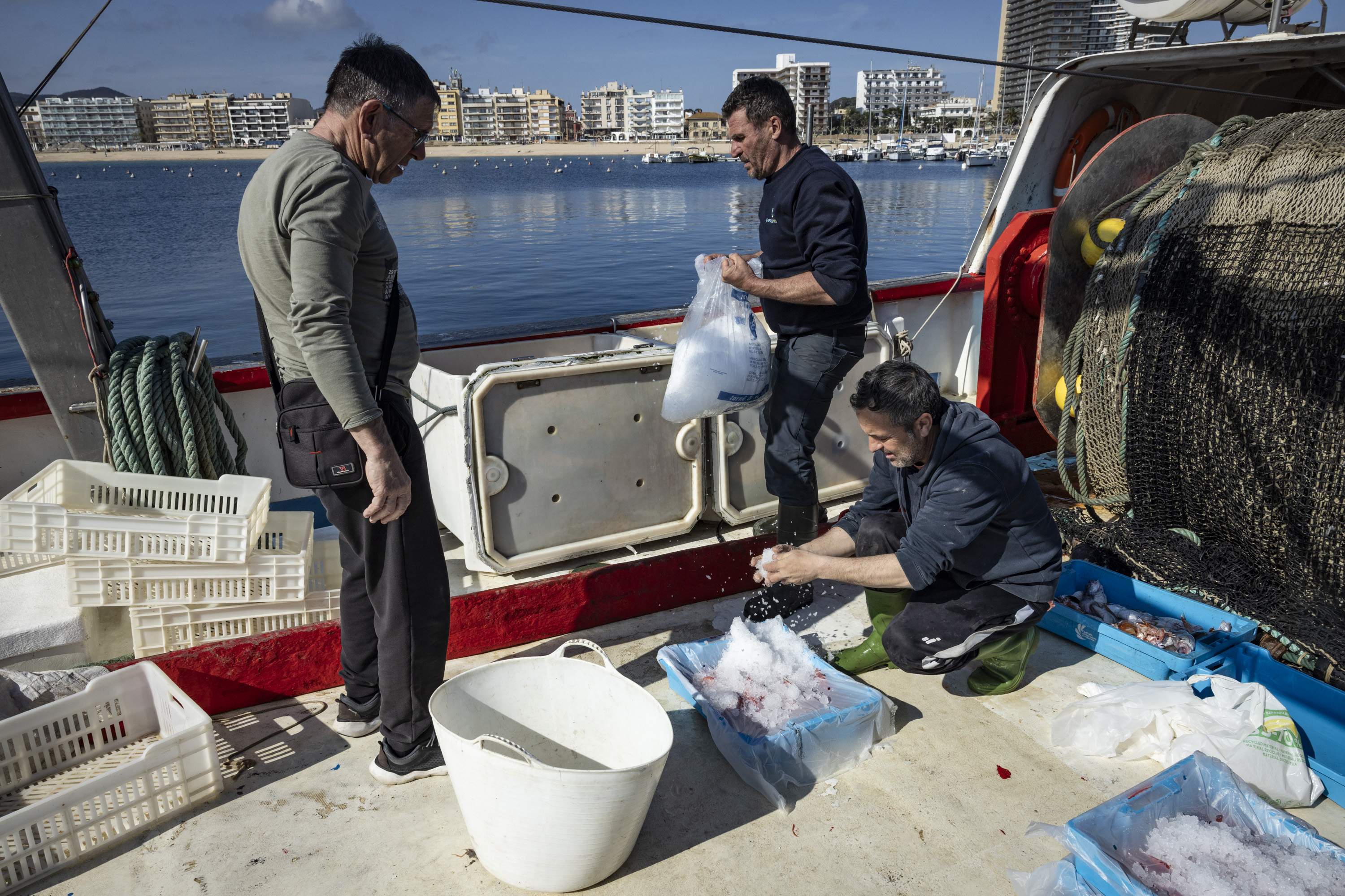 ¿Una Navidad sin pescado? El aviso del Govern si la Unión Europea no toma medidas