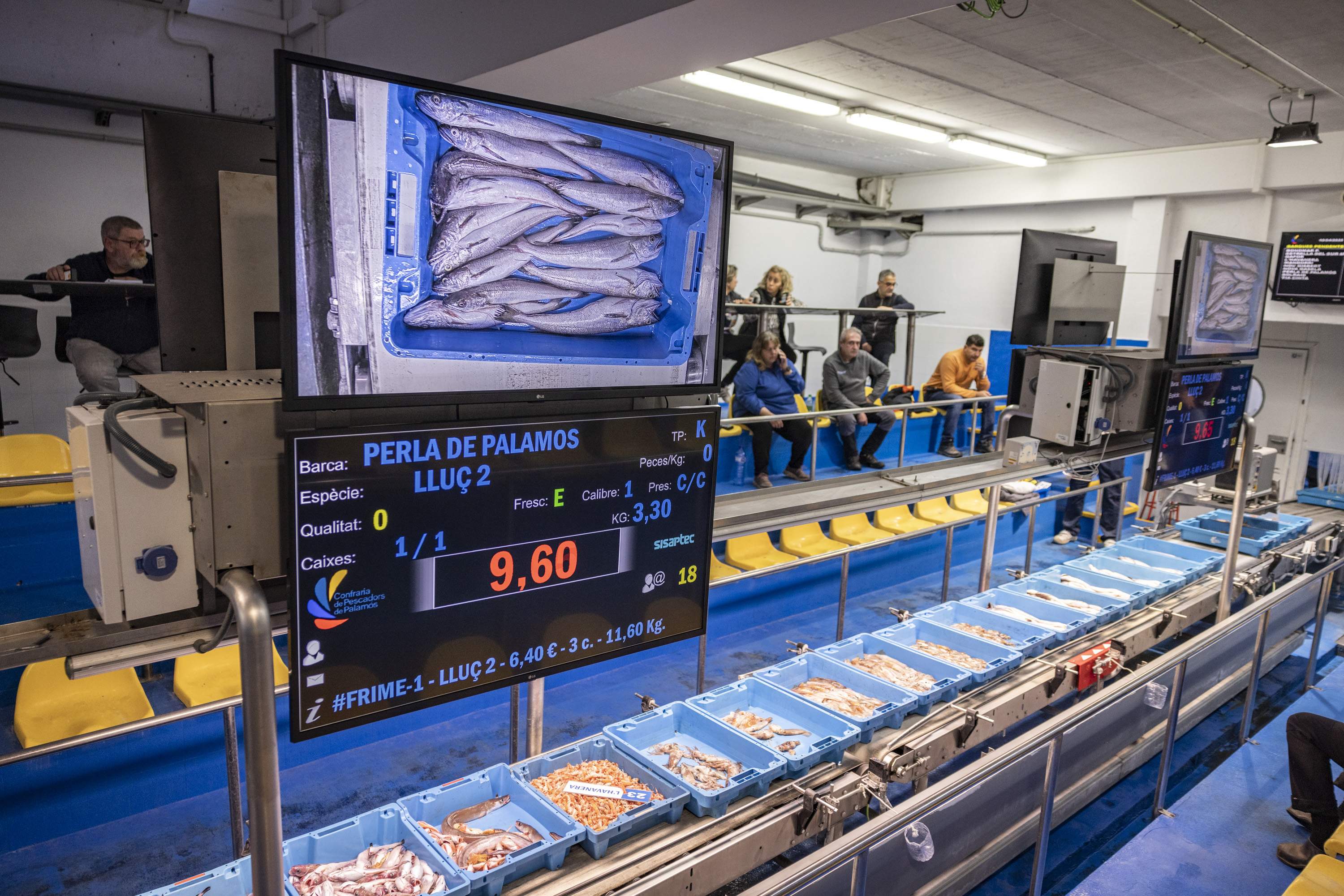 Peix de proximitat, un tresor a punt de naufragar