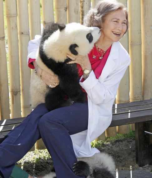 sofia hueso panda