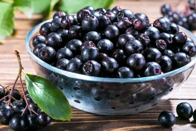 La aronia negra también es rica en hierro y ácido fólico / Foto: Unsplash La aronia negra también es rica en hierro y ácido fólico / Foto: Unsplash