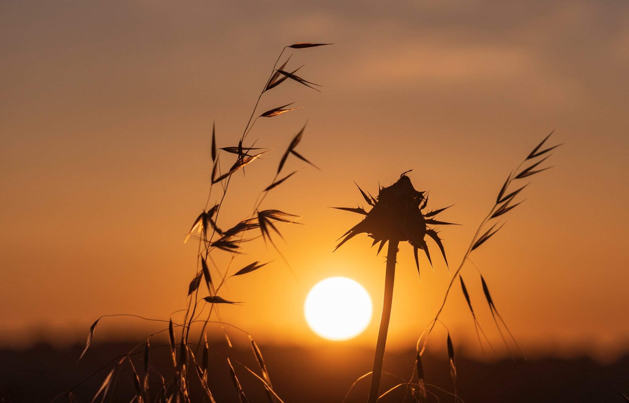 El sol i la calor s'apoderen de Catalunya: aquest cap de setmana s'acosta l'estiu?