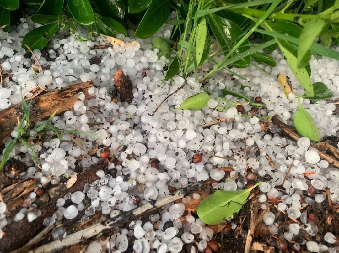 Canvi brusc de temps: tempestes i calamarsa a mitja Catalunya
