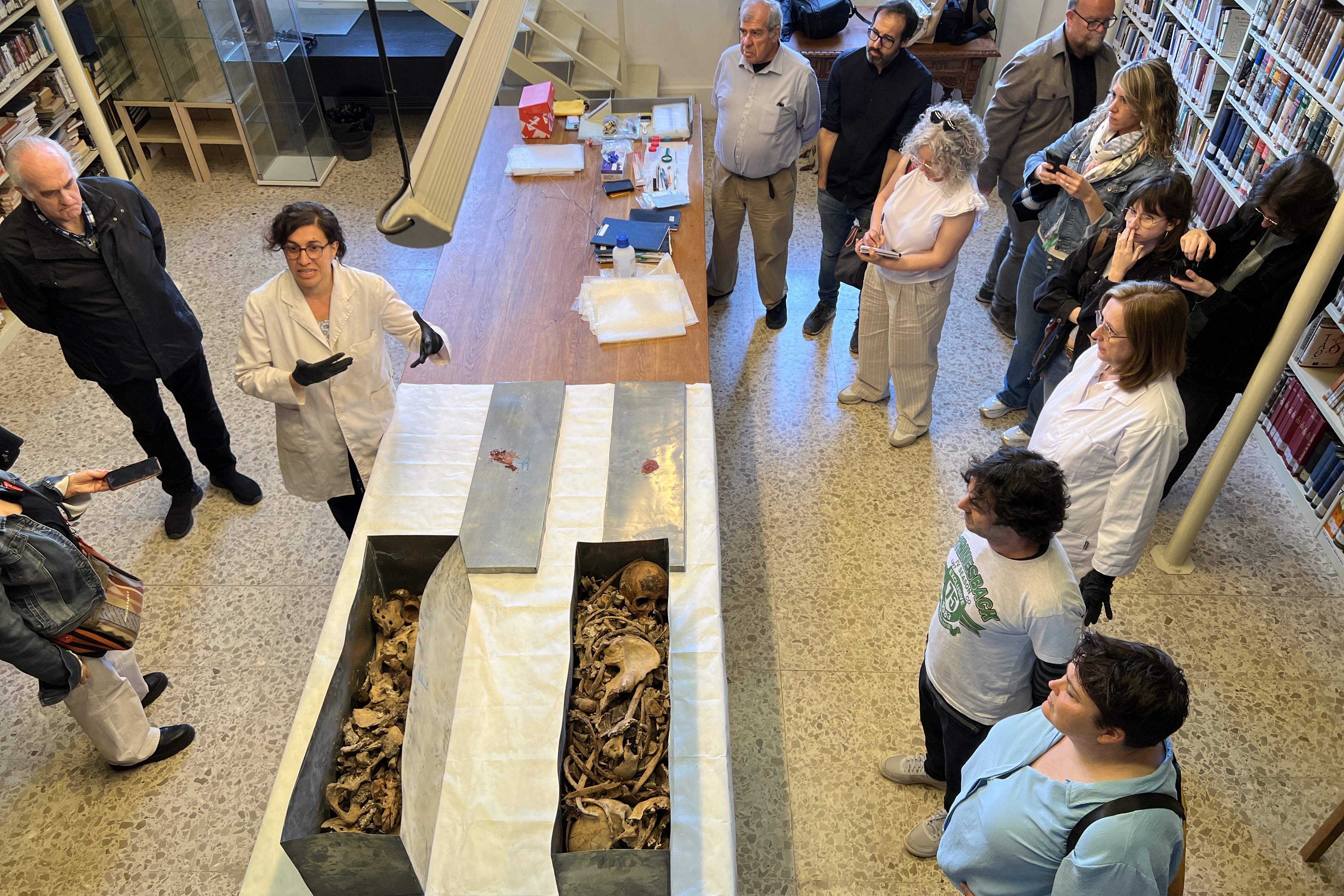 Estudien per primer cop els ossos dels comtes d'Urgell al monestir de les Avellanes