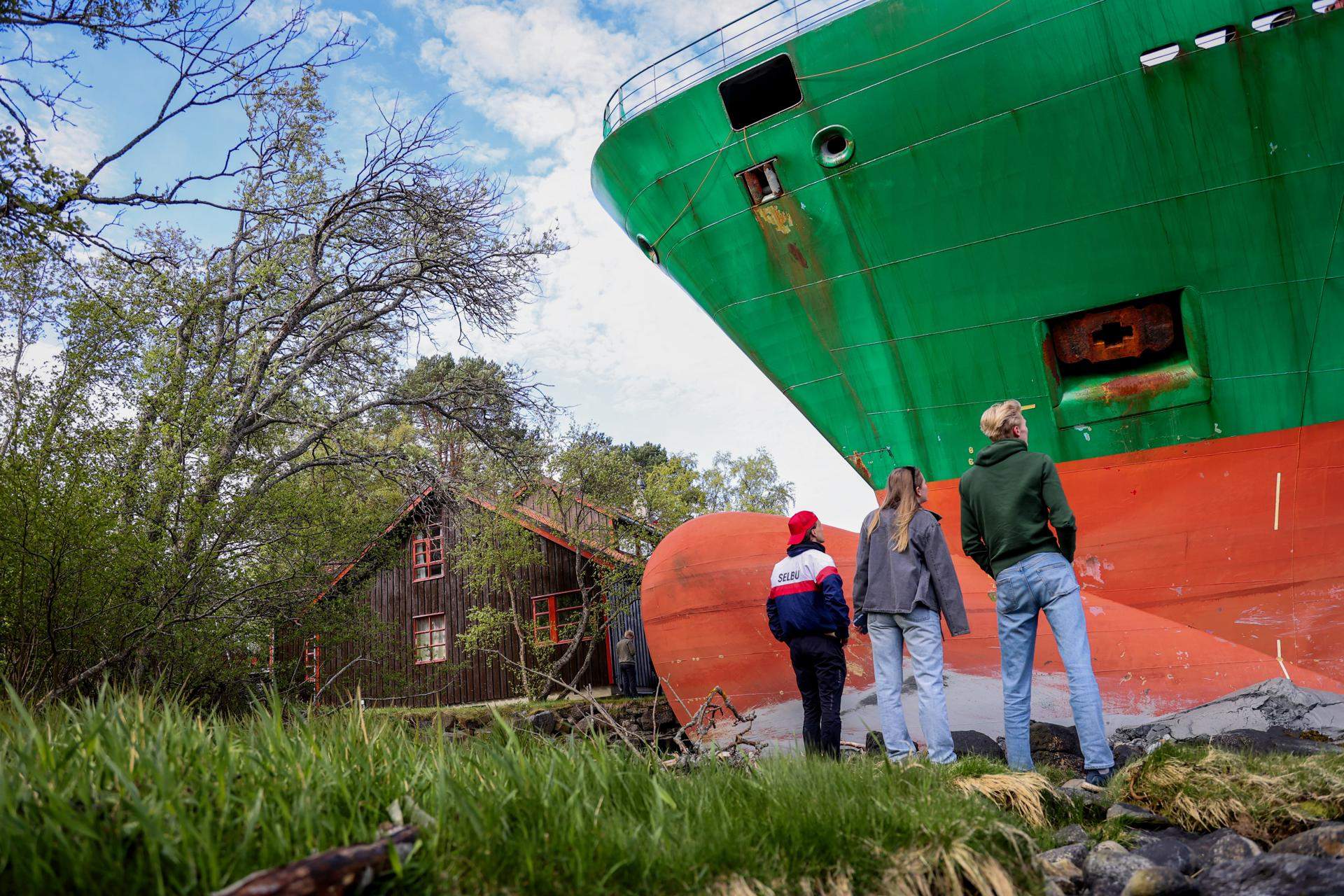 Un enorme barco mercante encalla en el jardín de una casa en Noruega: "Me he quedado atónito"