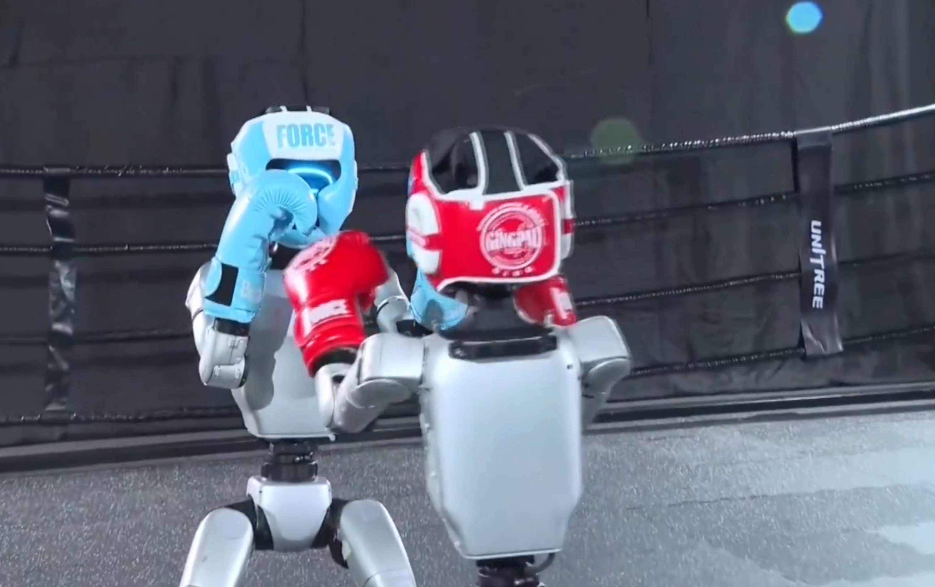 Els robots mostren les seves habilitats pugilístiques: el primer torneig de boxa robot se celebrarà a la Xina
