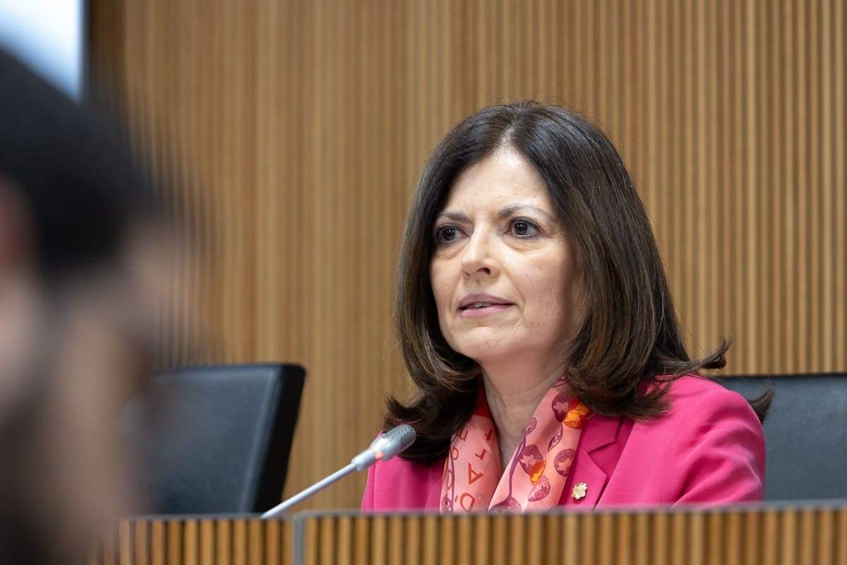 Andorra planteja el reconeixement de Palestina si això suposa una "pau justa i duradora"