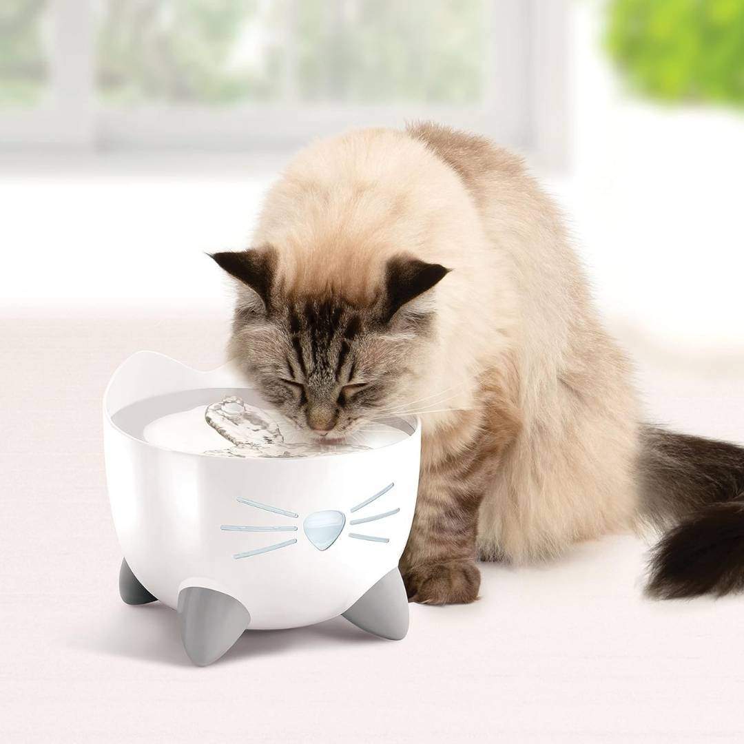 Si tu gato bebe poca agua, esta fuente con flujo continuo es la solución y cuesta menos de 20 €