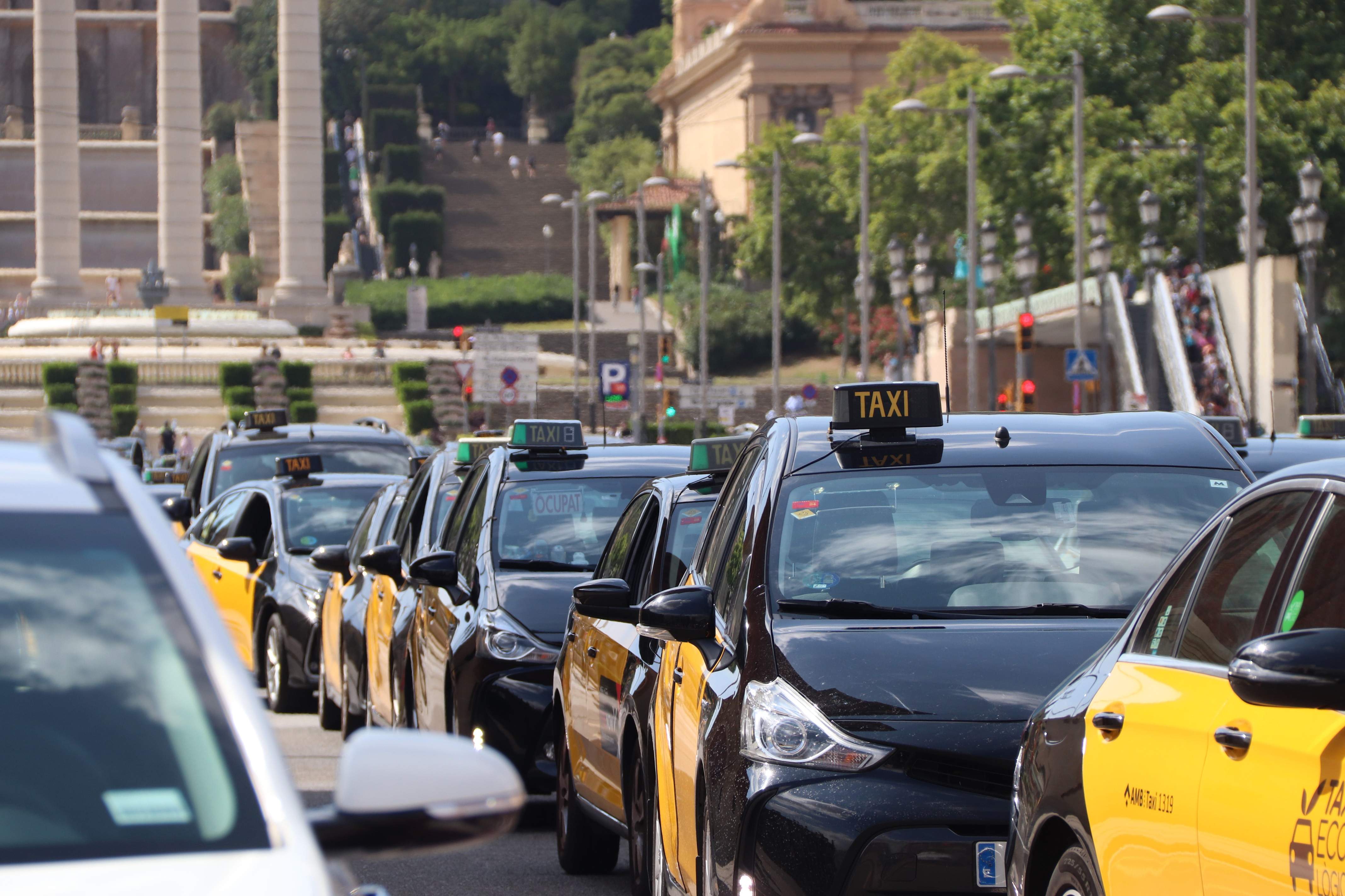 Els taxistes creuen que a Barcelona fan falta molts més professionals
