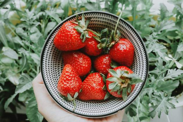 Es fundamental no lavarlas antes de meterlas en la nevera / Foto: Unsplash Es fundamental no lavarlas antes de meterlas en la nevera / Foto: Unsplash