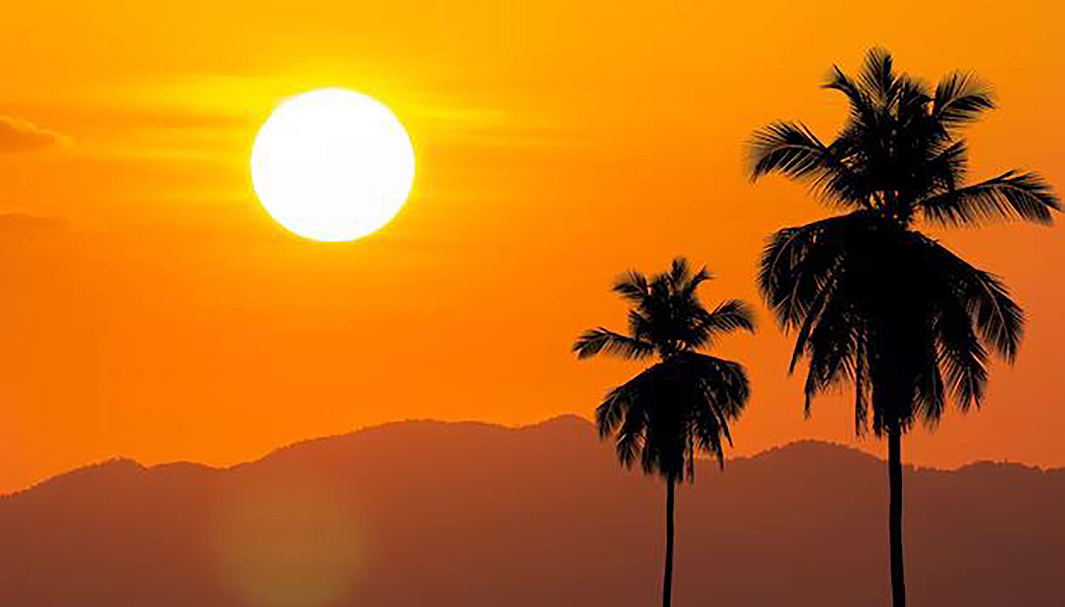 Temps d'estiu a Catalunya: fuetada de calor i pic de temperatura per suar la cansalada