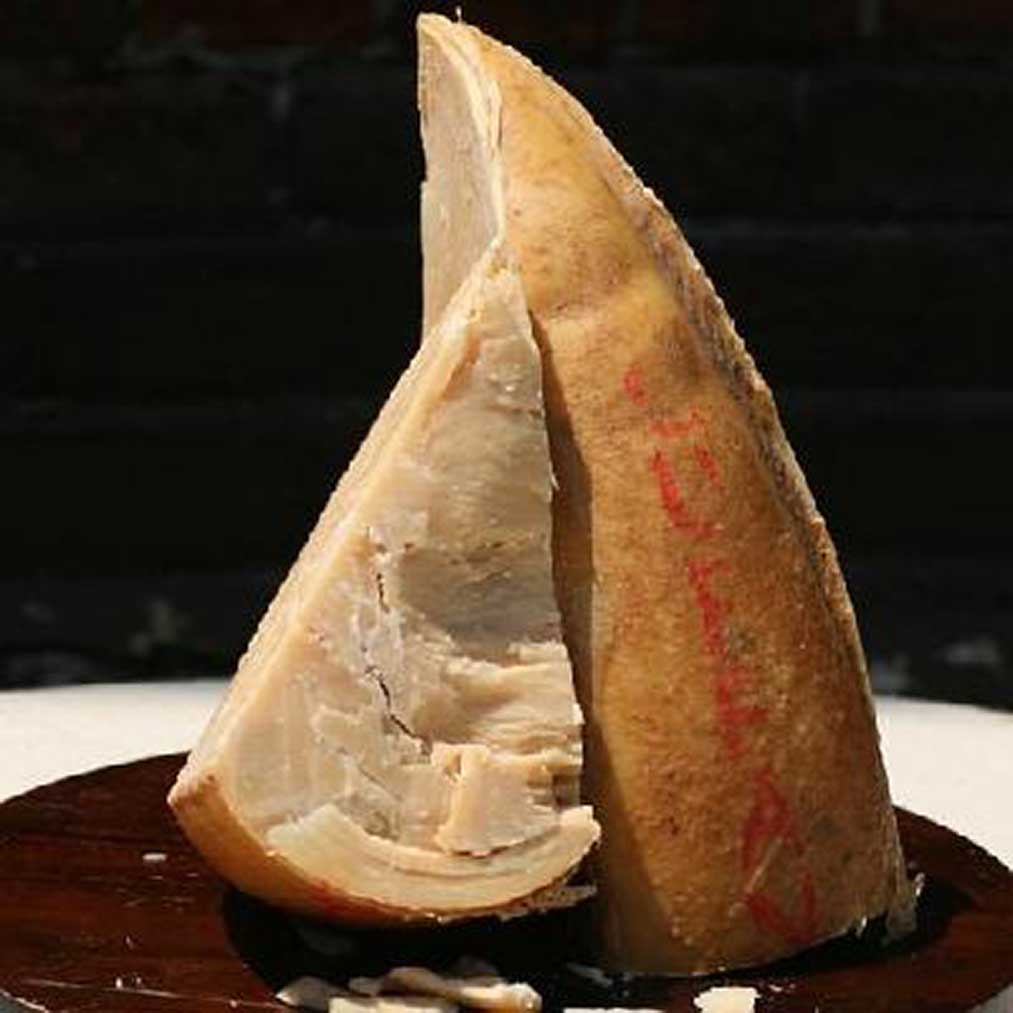 Provolone