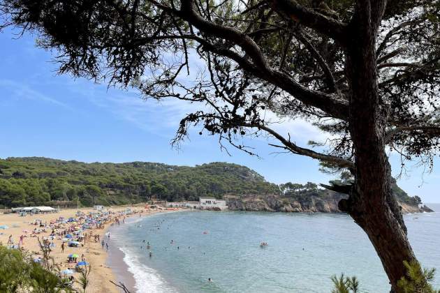 Platja del Castell / Visit Costa Brava Platja del Castell / Visit Costa Brava