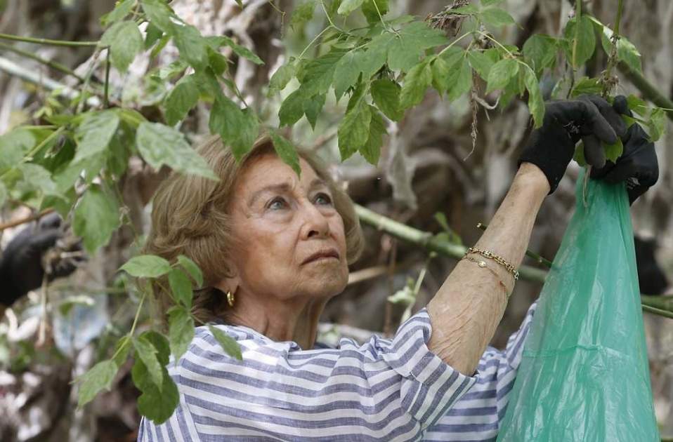 La reina Sofia recollint plàstics al parc