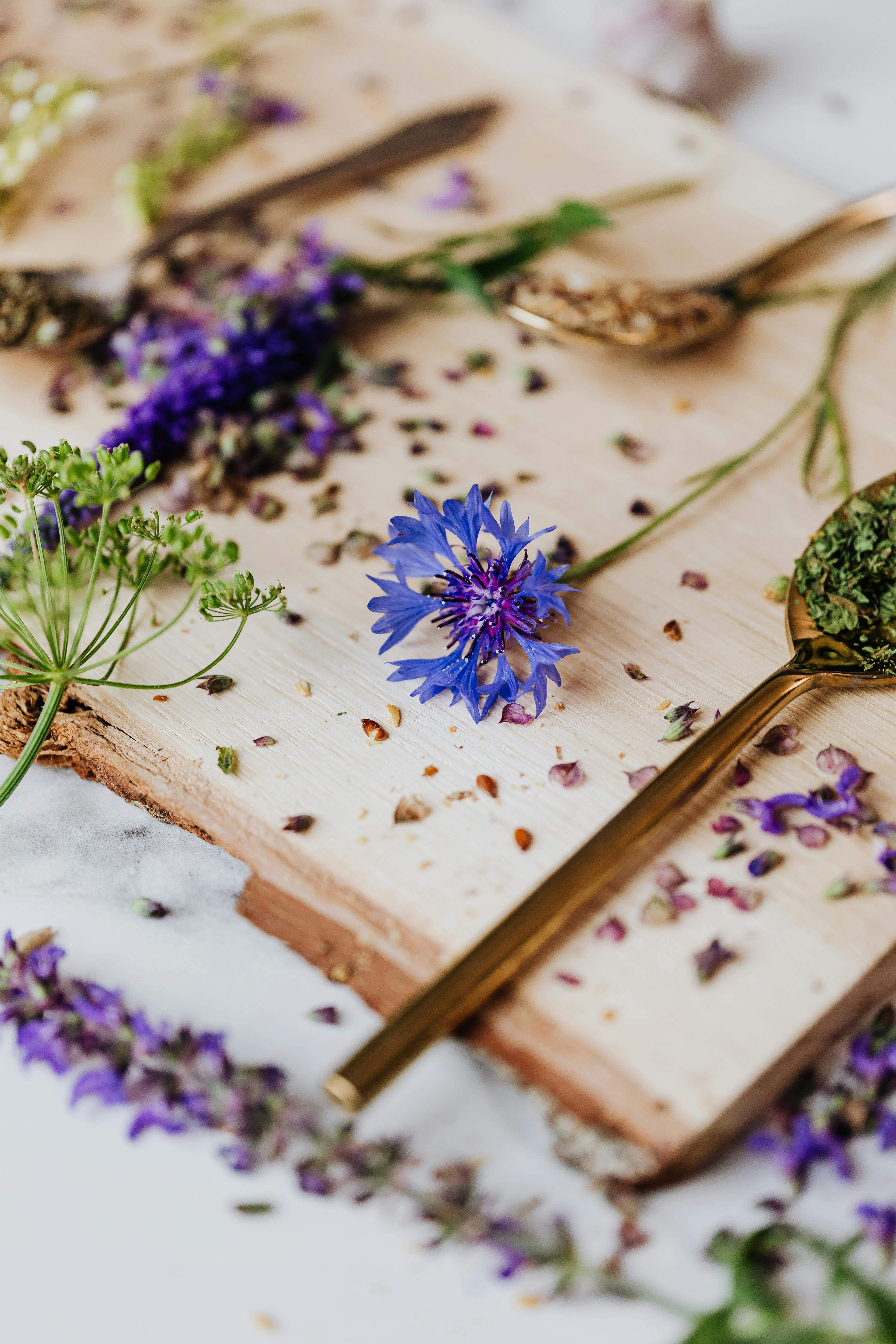 Fira Herbes Remeieres i Plantes Aromàtiques Fira Herbes Remeieres i Plantes Aromàtiques