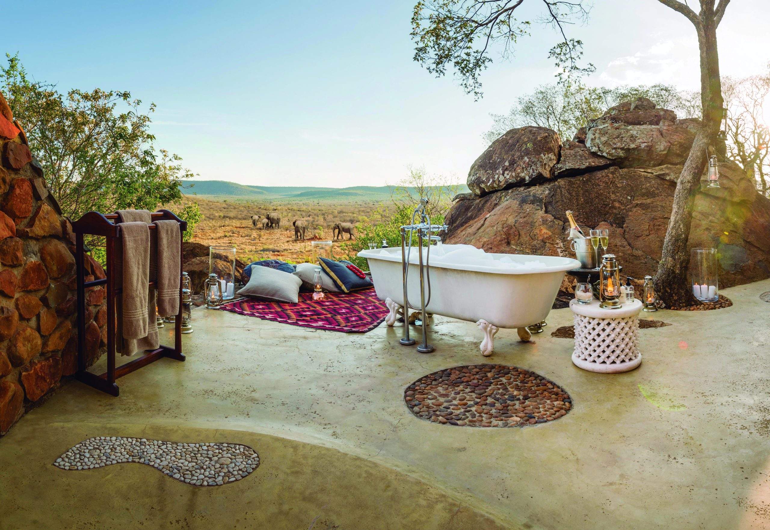 Luxury Safari