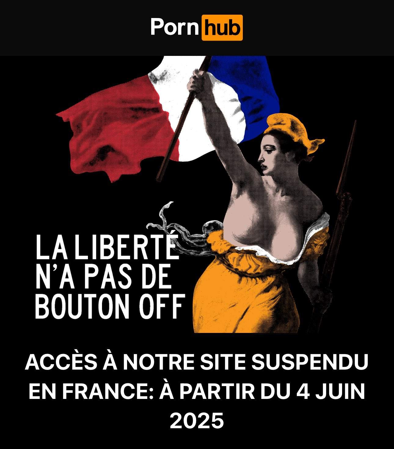 llibertat guiant el poble pornhub protesta frança llibertat guiant el poble pornhub protesta frança