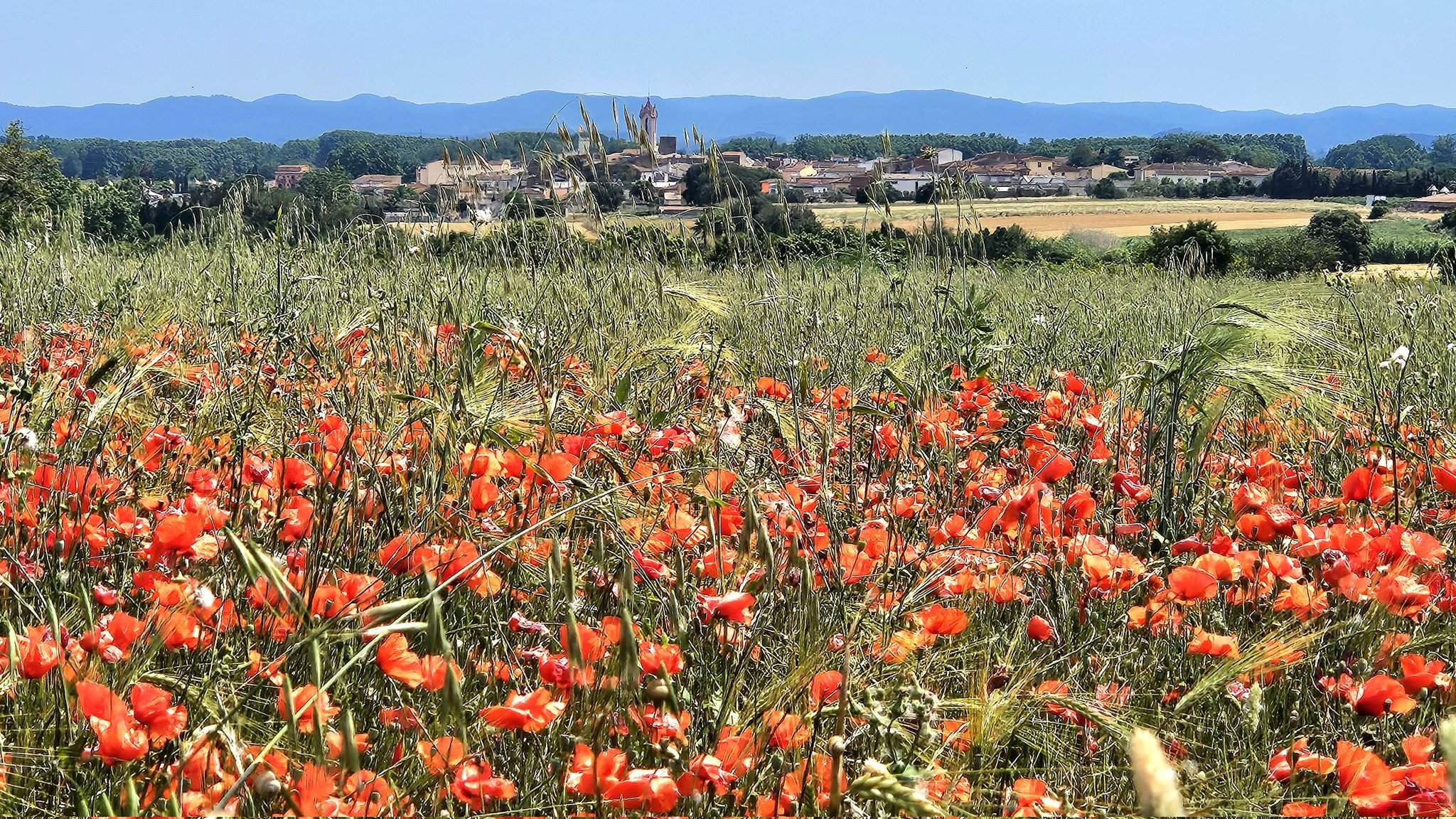 Breve descanso antes de que llegue el aire del Sáhara: calor intensa y noches tropicales en Cataluña